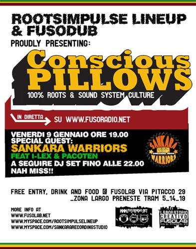 20090109_consciouspillow.jpg