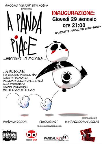 20090129_apandapiace.jpg