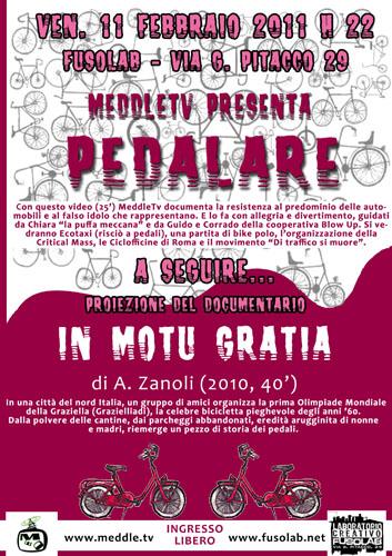 20110211_pedalare.jpg