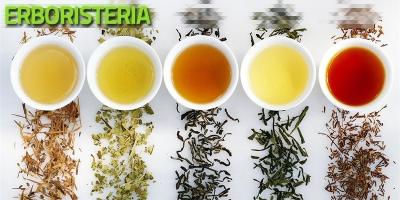 Erboristeria